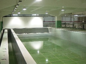 供应南宁乙烯基酯重防腐地板，防腐水池工程，防腐地坪